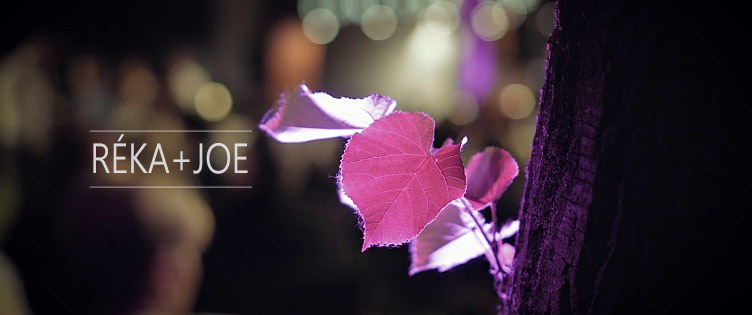 Esküvői videó | Kecskemét, Sheraton Hotel | Réka+Joe | ACS Media